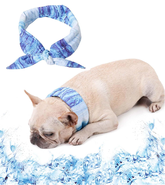 フレブル お迎え準備